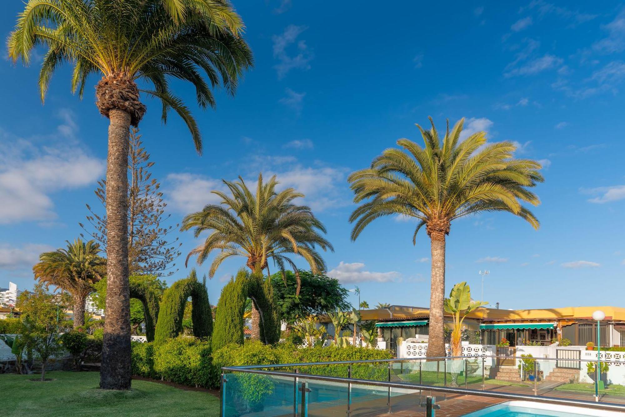 Bungalow Siena Center Playa Del Ingles Maspalomas  Exterior foto